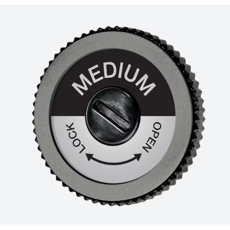 Swix Evo Pro edger Medium disc