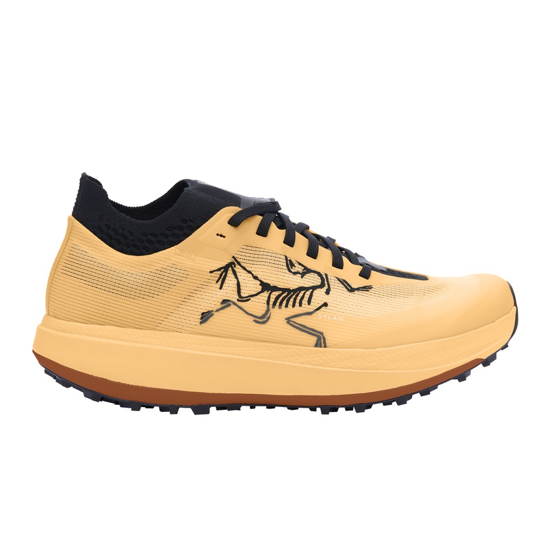 Arc’teryx SYLAN PRO M|Black / Black|Luminary/Luminary|7.5 UK|8 UK|8.5 UK|9 UK|9.5 UK|10 UK|10.5 UK|11 UK|11.5 UK|12 UK