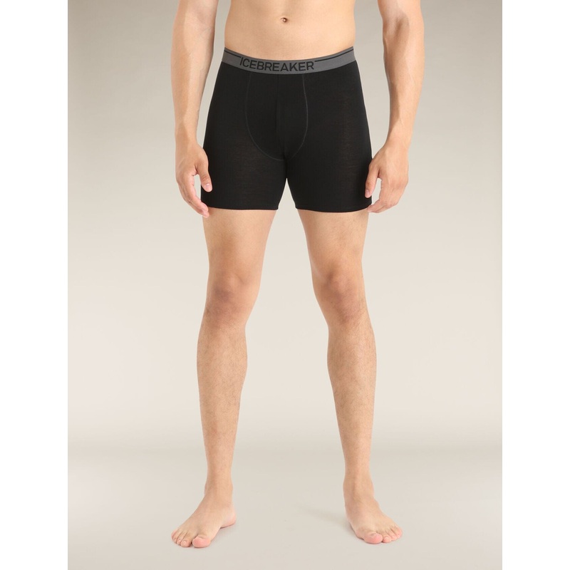 Icebreaker Merino 150 Anatomica Long Boxers