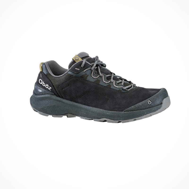 Cottonwood Low Waterproof  Men’s