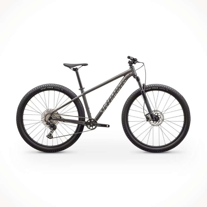 Rockhopper Expert|Satin Smoke/Gloss Chrome|Gloss Silver Dust / Satin Burnt Gold Metallic|M