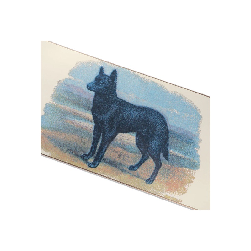 HYBRID VIGOUR – KELPIE|assorted|8.25
