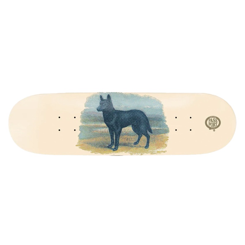HYBRID VIGOUR – KELPIE|assorted|8.25