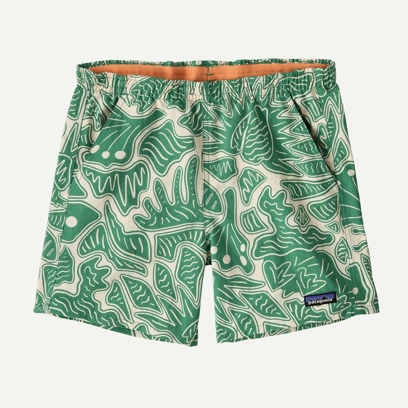 Women’s Baggies 5 Shorts (Past Season)