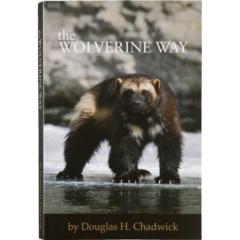 The Wolverine Way