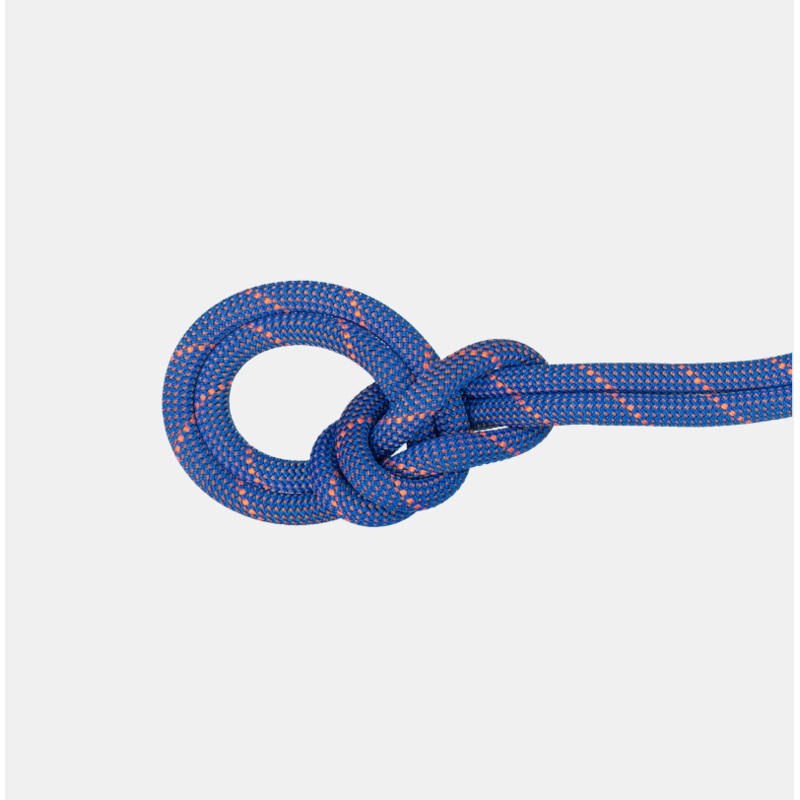 9.0 Crag Sender Dry Rope|Ice / Sunrise|60m|70m