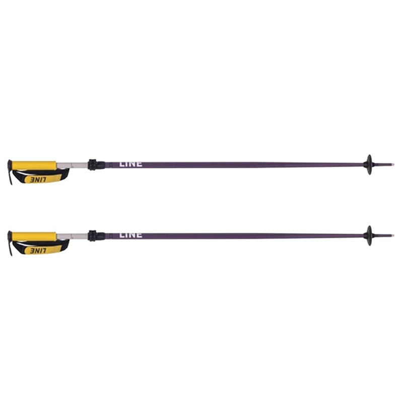 PAINTBRUSH POLES|purple|O/S