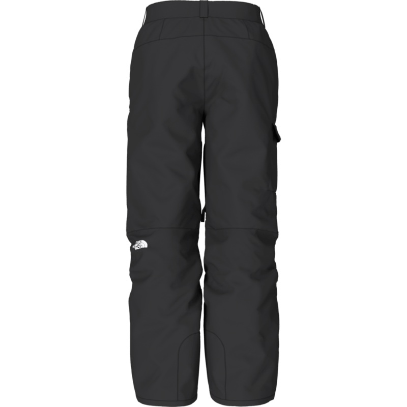 The North Face Mens Freedom Snow Pant in TNF Black 2024