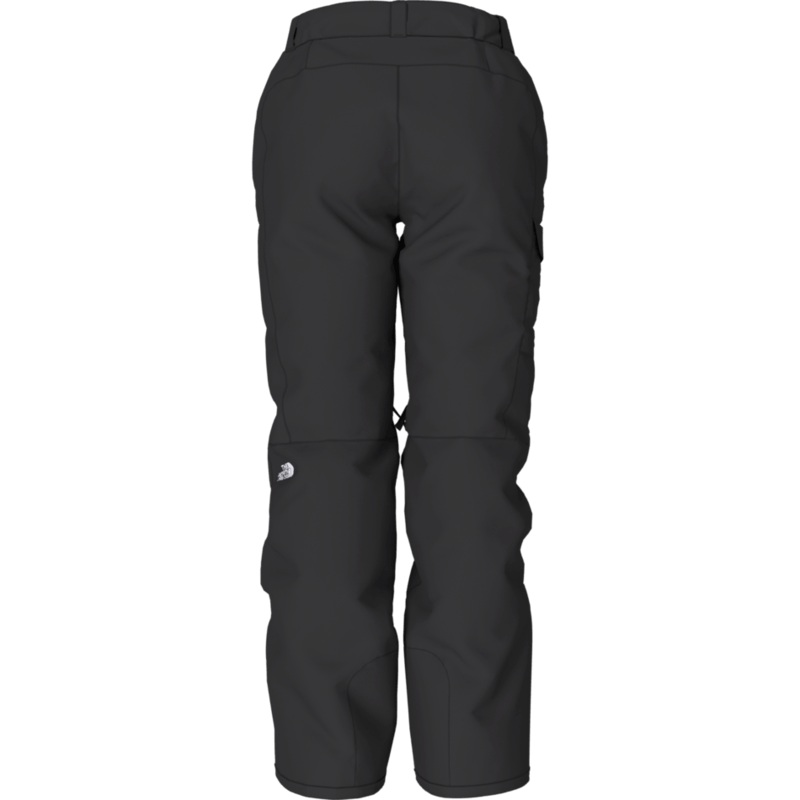 The North Face Womens Freedom Insulated Snow Pant in TNF Black 2024