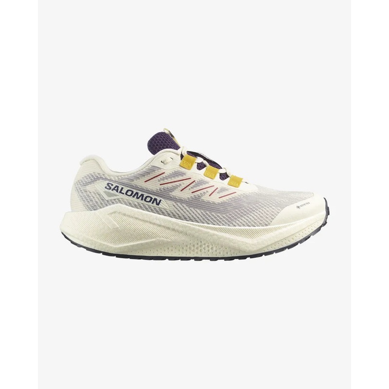 Men’s Aero Blaze 3 GRVL GTX Running Shoes