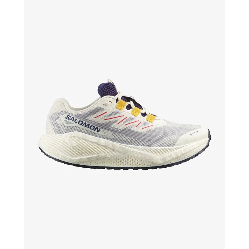 Women’s Aero Blaze 3 GRVL GTX Running Shoes