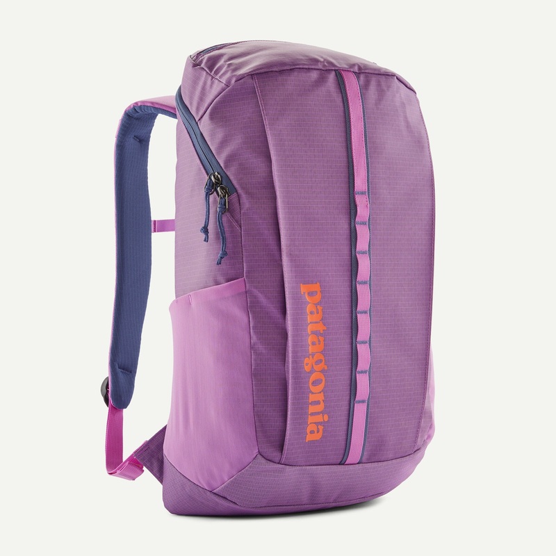 Black Hole Pack 25L|Brisk Purple|Noble Grey