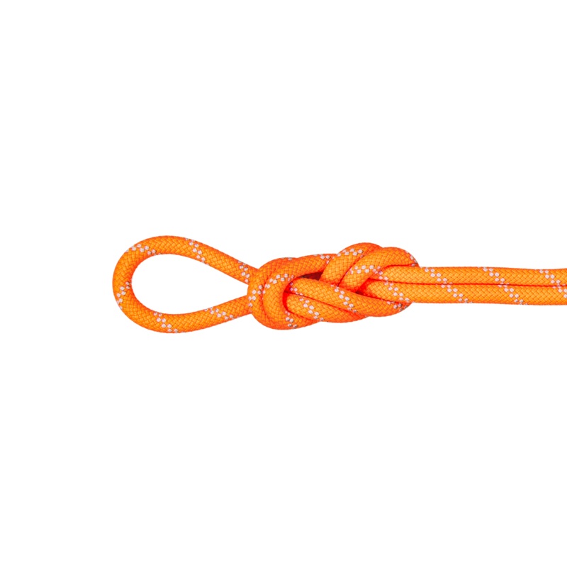 9.5 Alpine Dry Rope|60m|70m