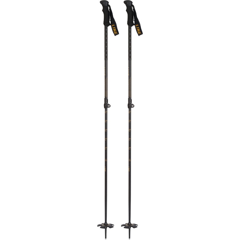 Vision Ski Poles – Black Gold