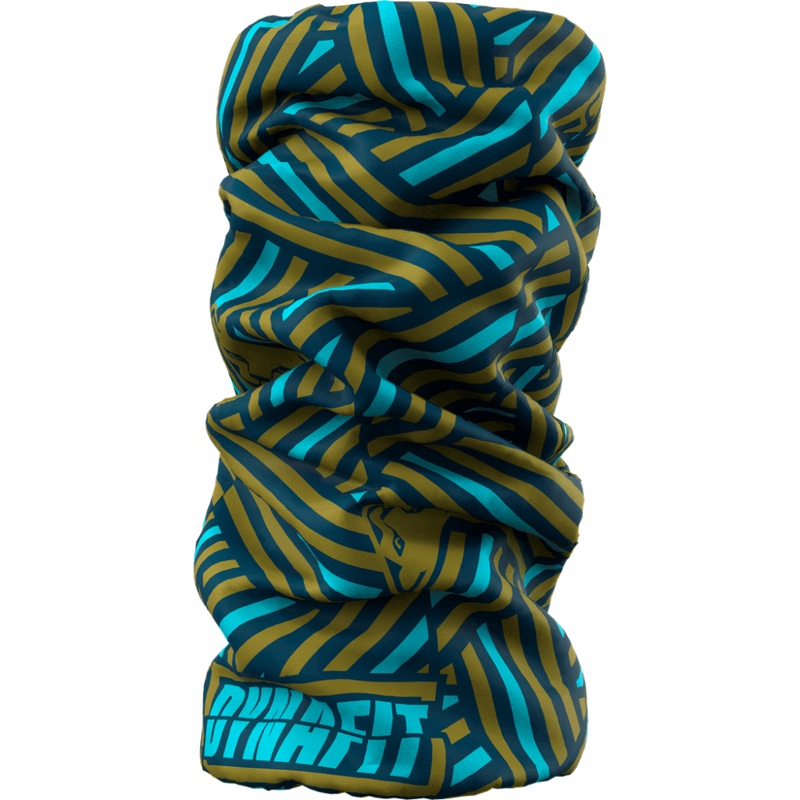 Dynafit Logo Neck Gaiter (2023)