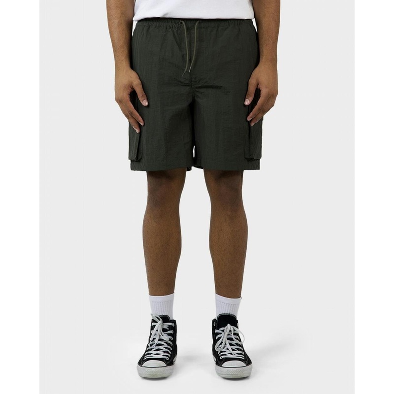 Dickies Barton Springs Boardshorts