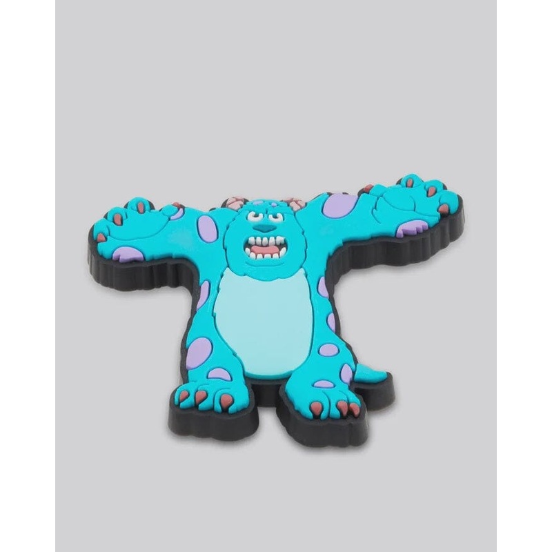 Crocs Jibbitz – Sully