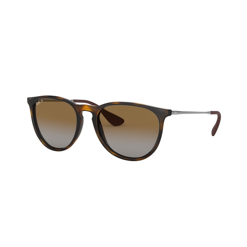 Ray-Ban Erika Polarised Sunglasses