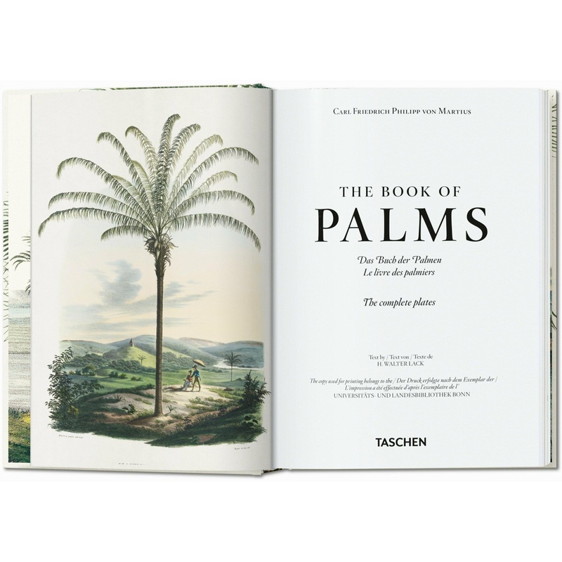 Taschen – Livre – Martius. The Book of Palms
