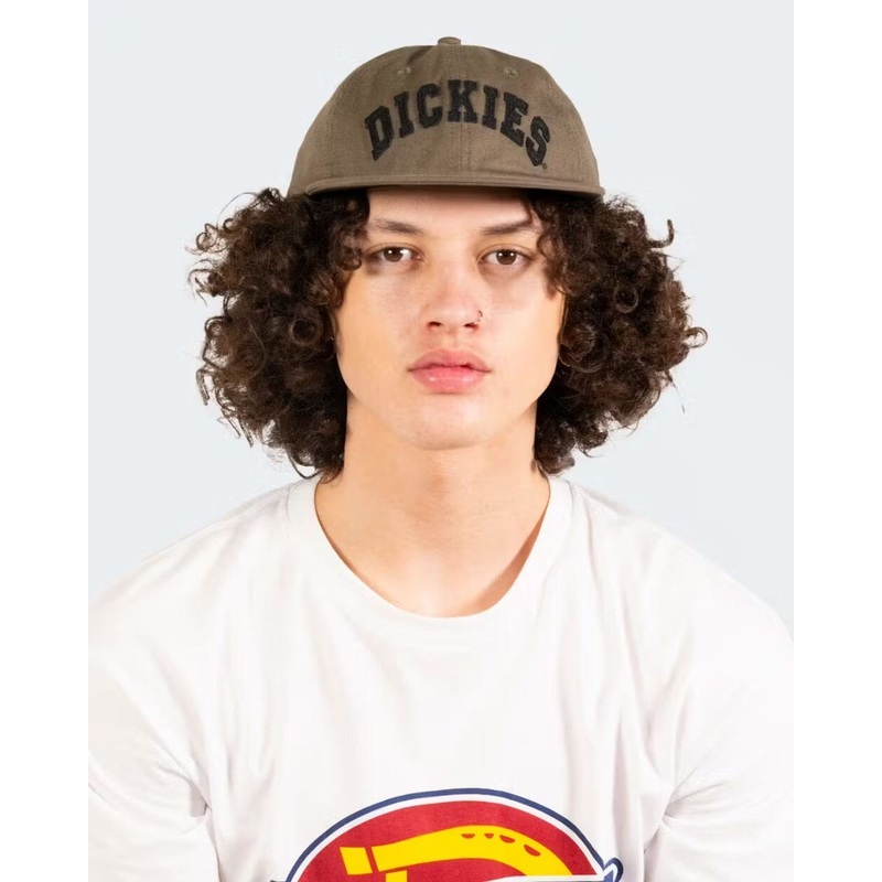 Dickies Princeton 6 Panel Cap|Rinsed Moss|OSFA