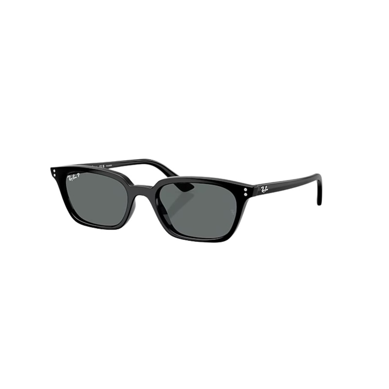 Ray-Ban Zaya Polarised Sunglasses