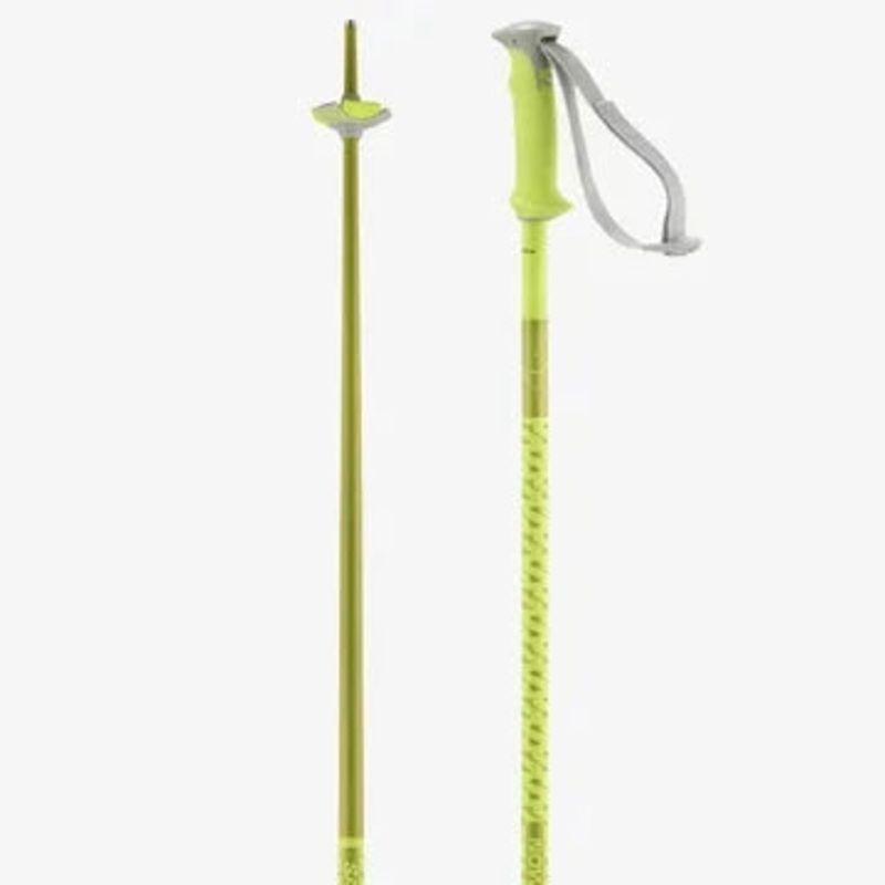 Salomon Polar Ski Poles|Assorted