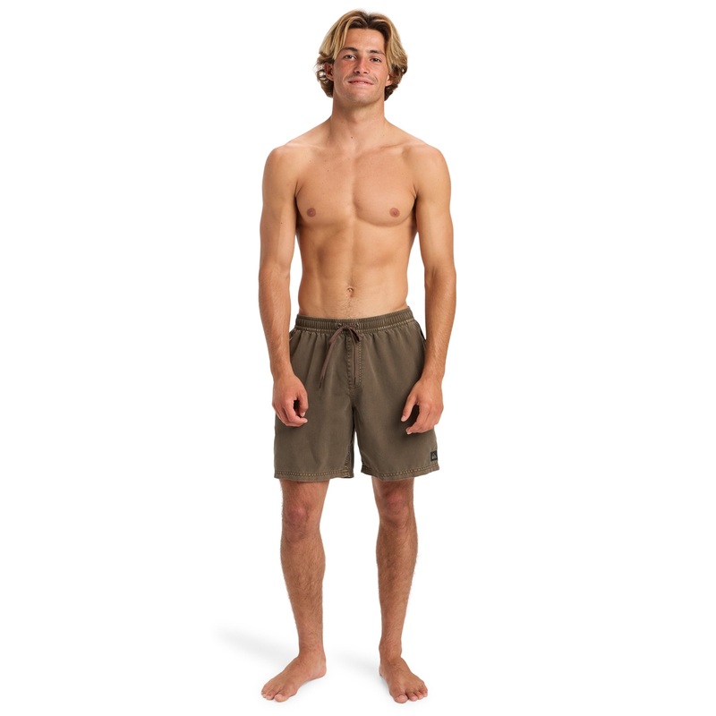 Quiksilver Everyday Surfwash 17 Boardshorts