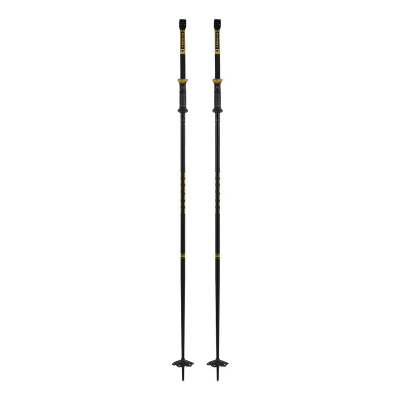 Armada Triad BB Ski Poles 2025