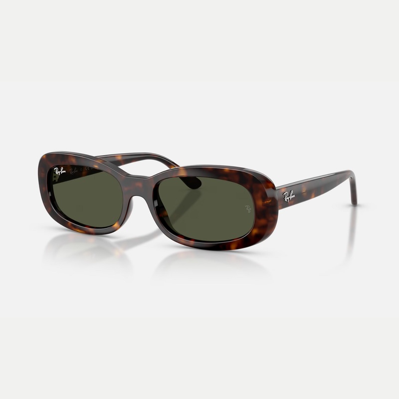 Ray-Ban 0RB2221 Sunglasses|Havana / Green