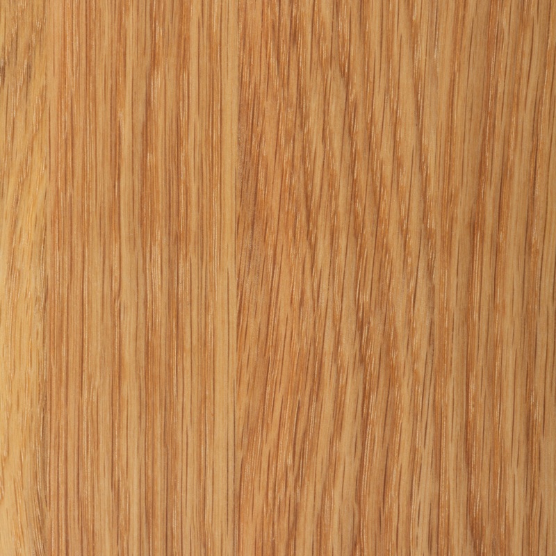 Charcuterie Plate|Neutral|1 SZ