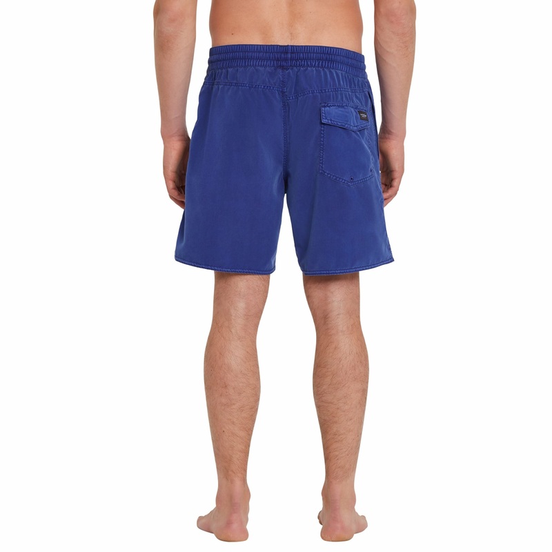 Baador Volcom Center Trunk 17 Blue Print