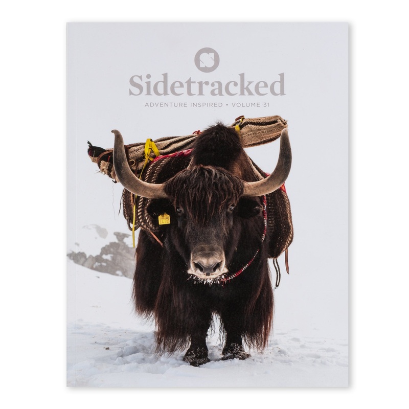 Sidetracked Volume 31|1 SZ