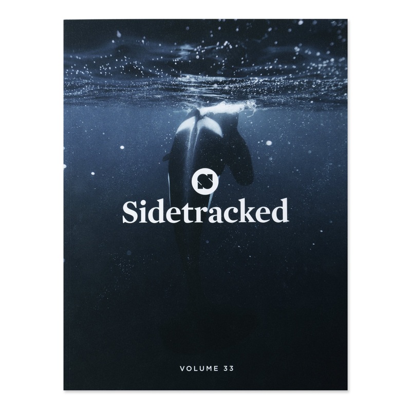 Sidetracked Volume 33|1 SZ